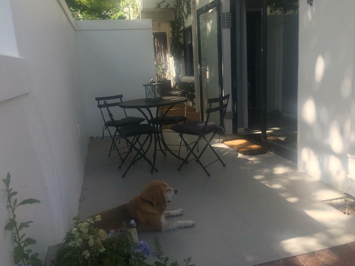 Table Mountain Guest Cottage With Private Garden Le Cap Extérieur photo